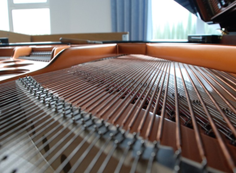 Nahaufnahme des Resonanzbodens und der Saiten eines Flügels